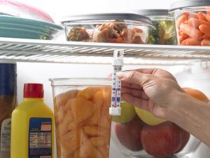 The Best Place To Store Insulin Inside A Refrigertor